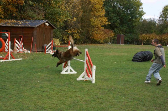 agility 2011-10-30